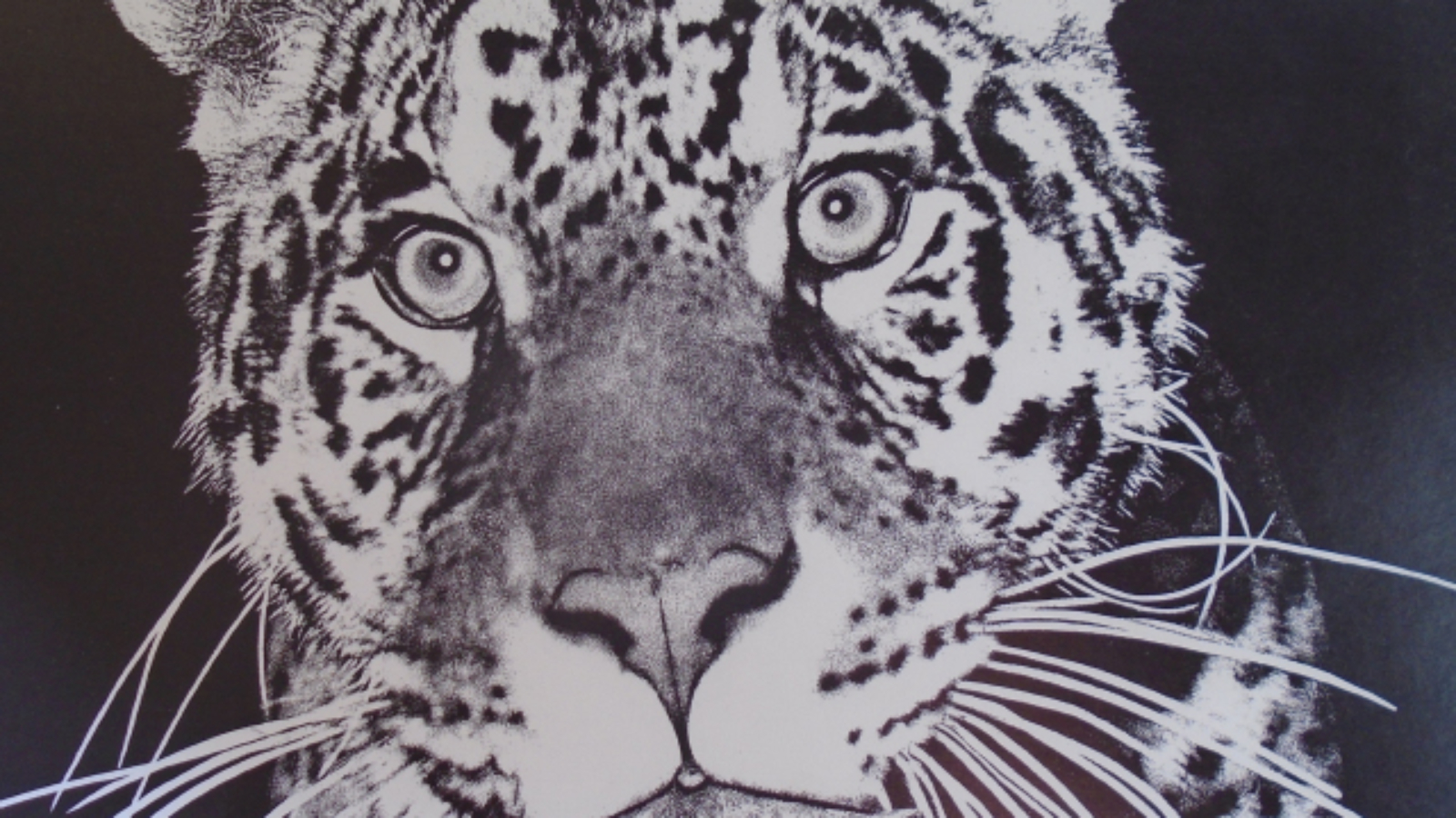 ANIMAL