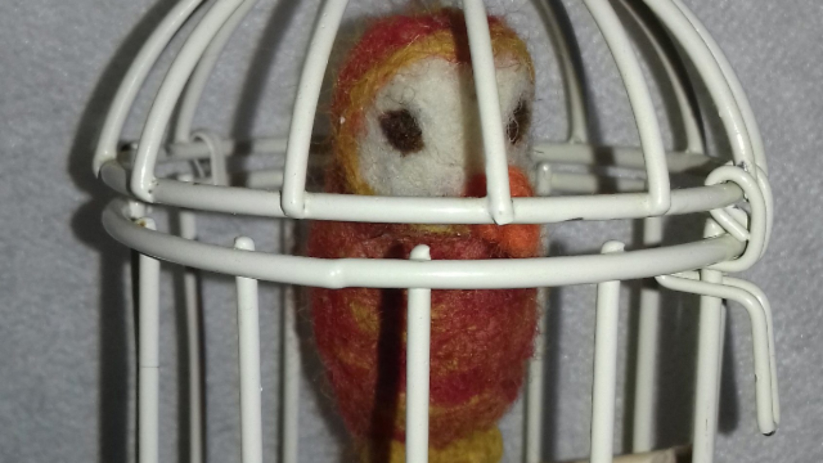 oiseau