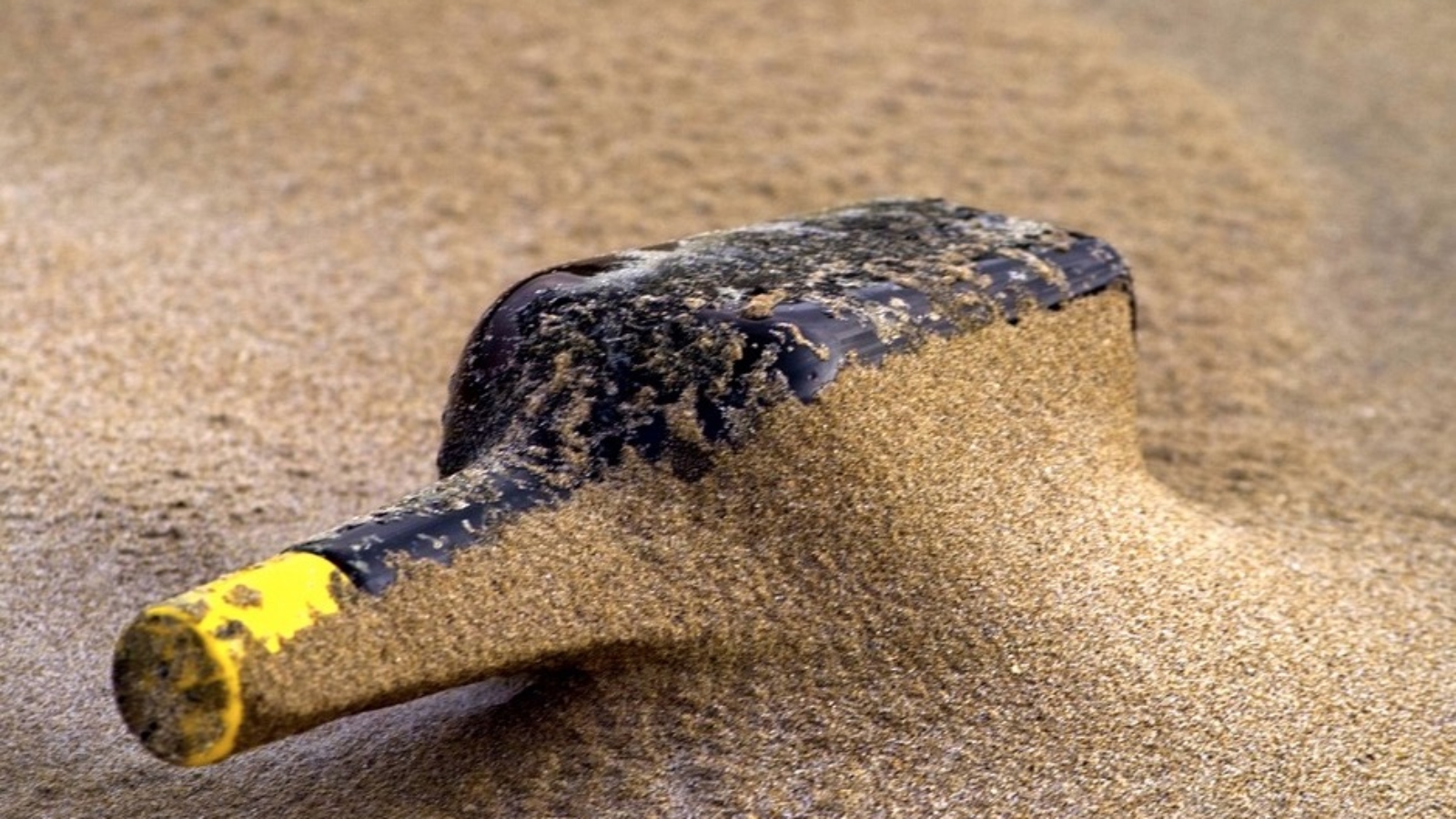 bouteille a la mer